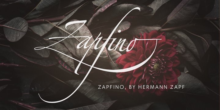 Linotype Zapfino